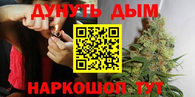 Альфа ПВП Бердск