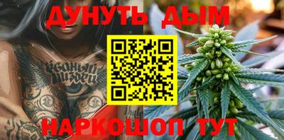 Альфа ПВП Бердск