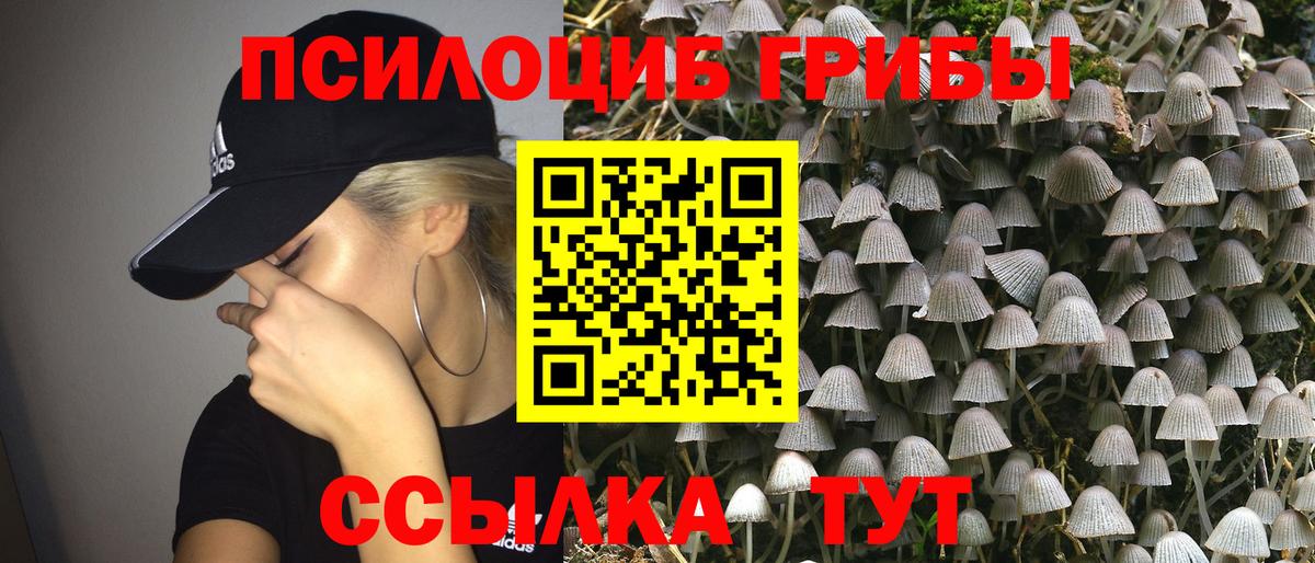 Псилоцибиновые грибы Cubensis  Галлюциногенные грибы ЛСД  Вход с VPN  Горно-Алтайск 